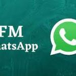 FM Whatsapp 8.30 Download APK